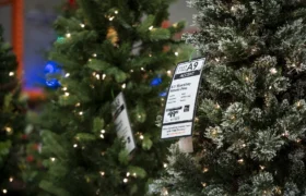 Pemilihan Bahan Alami vs. buatan: Pilihan pohon Natal mana yang lebih baik untuk iklim?