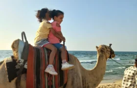 Wisata Mereka biasa berenang dan bermain di pantai di bagian utara Gaza.