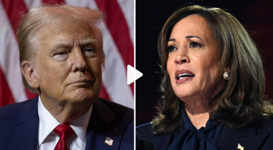 Harris bersiap menghadapi pertarungan yang sudah lama ia idamkan dengan Trump